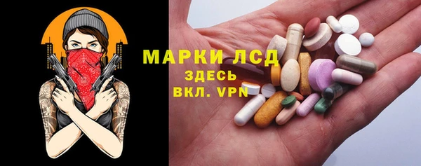дмт Бородино