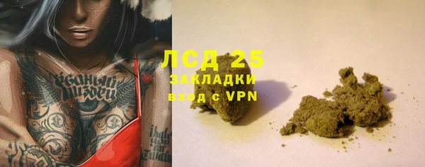спиды Богородицк