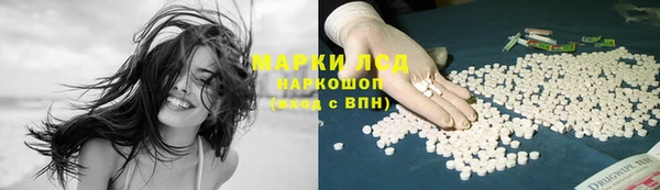 спиды Богородицк