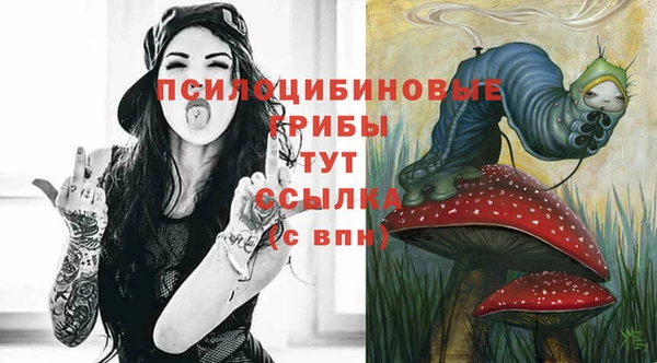спиды Богородицк