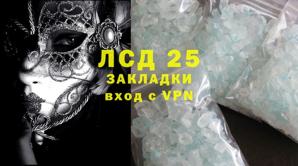 дмт Бородино